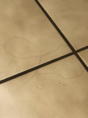 Hairs on the bathroom floor (I'm male and have a buzz cut).