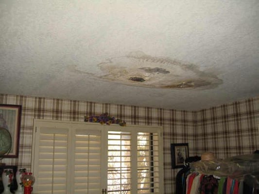 Mold Remediation Jersey City