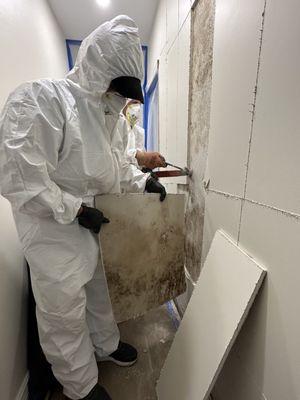 MOLD REMEDIATION