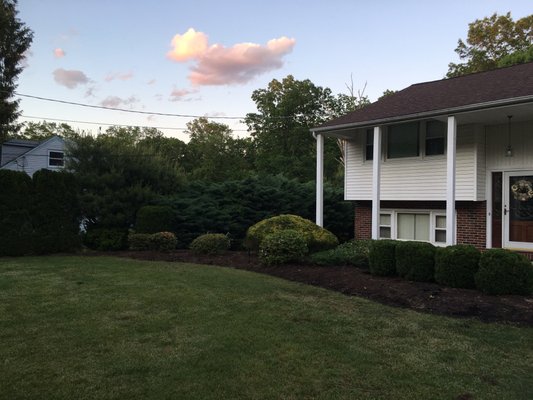 Trimmed shrubs edged beds