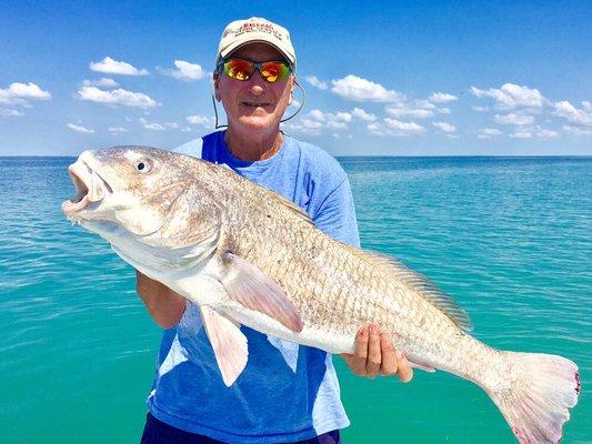 Huge Black Drum