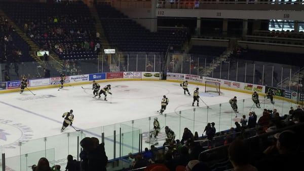 Let's go Pens! Pens@Sound Tigers