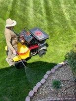 Spraying weeds around the flower beds.