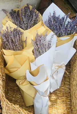 Lavender  for sale