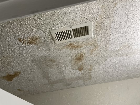 More water stains from ceiling leakage that they just painted over