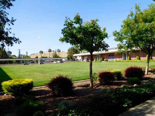 Center Courtyard Area