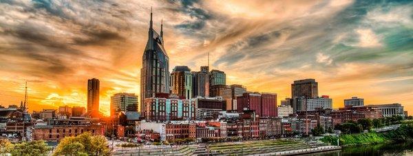 Nashville Pest Control in Nashville TN