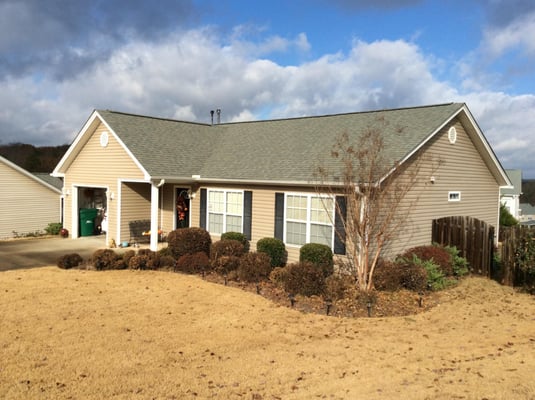 Dyed black mulch install and trim crape myrtle