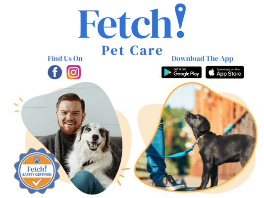 Fetch Pet Care - St Johns