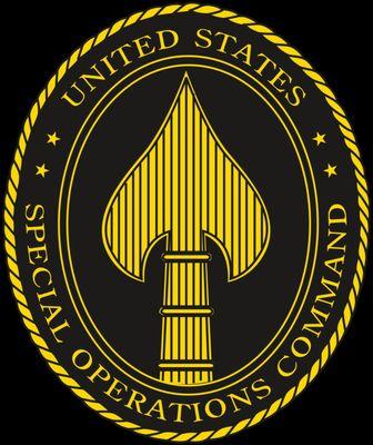 This is a Special Forces logo.