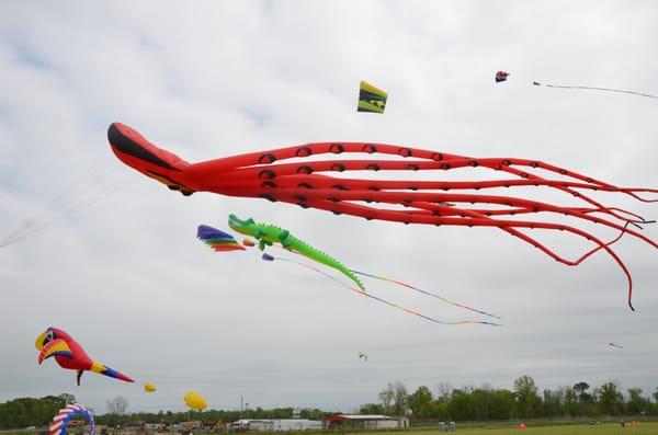 Boudreaux and friends from "Go Big or Go Home" Kites takes to the air on Saturday 2014.