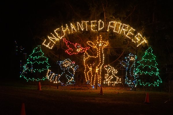 Take a Hayride through Frosty's Enchanted Forest