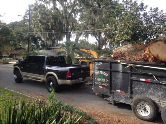 Hauling the big logs and main trunks with no problem.