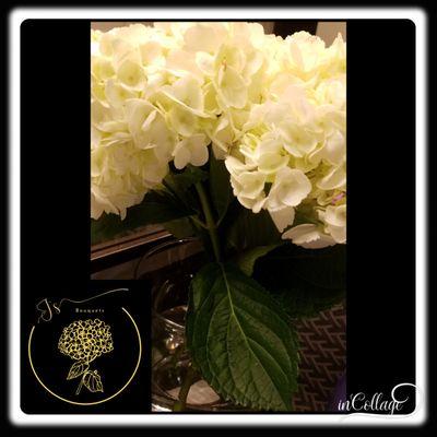 White hydrangeas