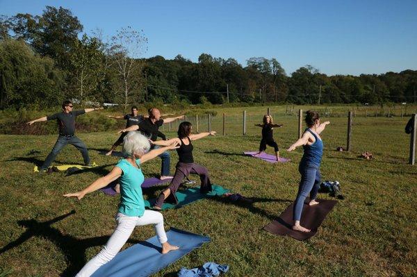 Group Yoga - Natural Awakenings Event 2017