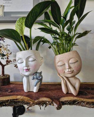 A variety of fun planters and plants