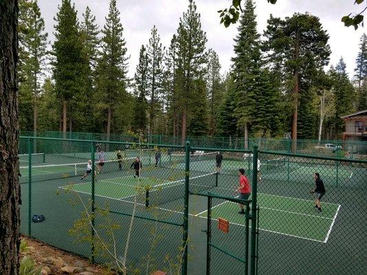 Our permanent pickleball courts