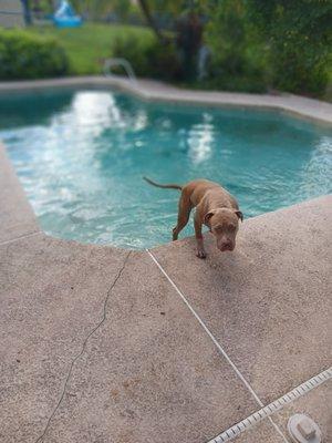 Pinch A Penny Pool Patio Spa