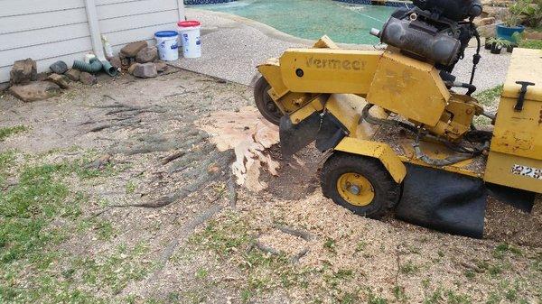 Stump grinding