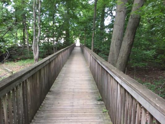 foot bridge over a low lying pseudo-wetland leads to a synagogue which faces Roemer Avenue