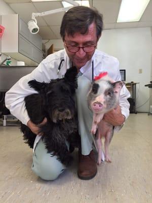 Dr. Sturla with his dog Kelly and our lovely Cinnamon Sugar!