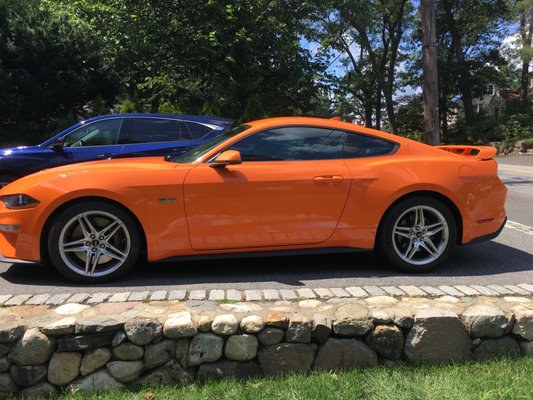 Orange Mustang tinted windows