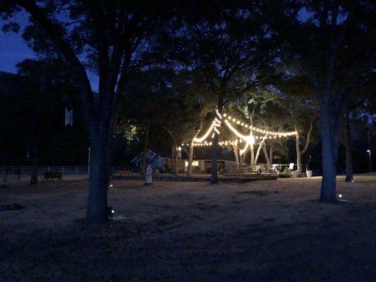 Vineyard and deck and night