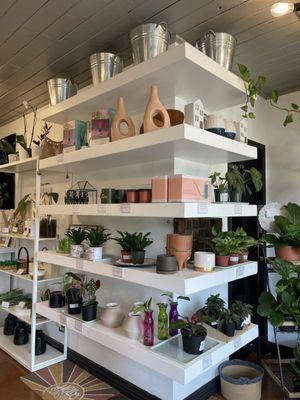 Ivy League Plant Shop