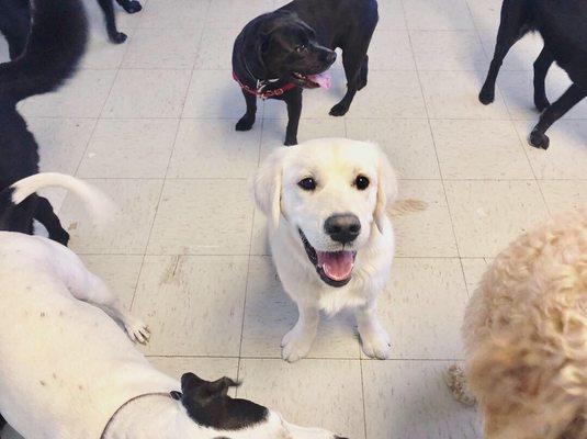 Having fun at daycare!