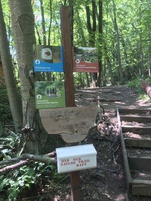 Perfect trails for a great hike!