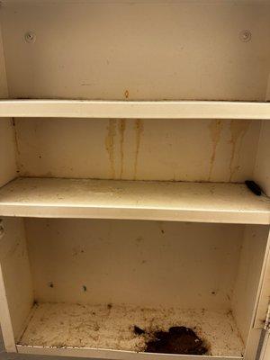 Rusted medicine cabinet