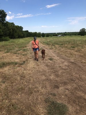 Off leash training