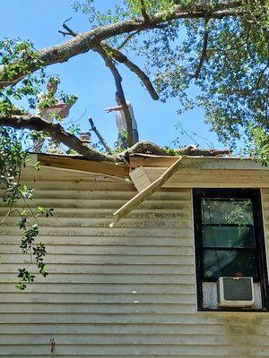 This is where out cust Called and said a huge limb fell on there house. Eric and his crew went over there and safely removed the limb.