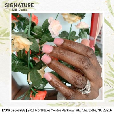 Soft and elegant with pale pink nails 
   !