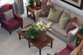 Upholstery Cleaning