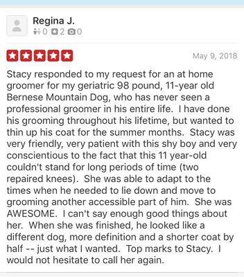 An old review from my old company 436PetServices