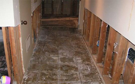 Water Damage Restoration Services in La Jolla, CA