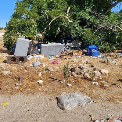 Clean and pick up on vacant land from a homeless encampment