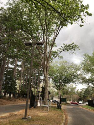 Sycamore lake apartments,