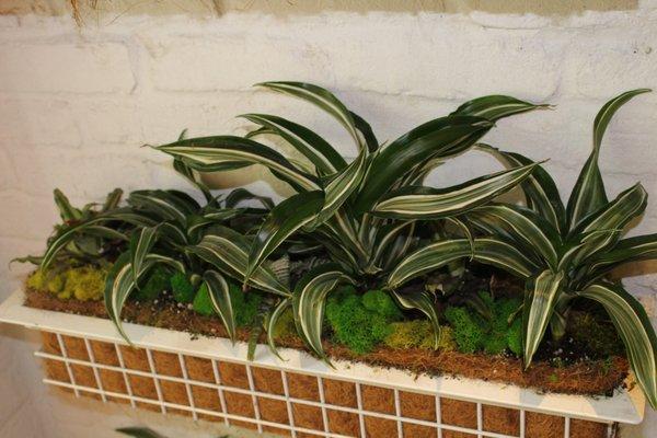 interior planter box