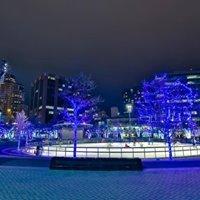 Christmas Décor by DeVries installed lighting at Rosa Park Circle.