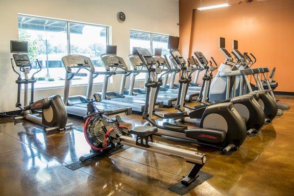 Treadmills, ellipticals, stationary bikes, rowers, and cross-trainers- all with HR-monitors, calorie counter, TVs, and Shock Absorption.