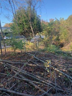 Lot clearing for McDonald's