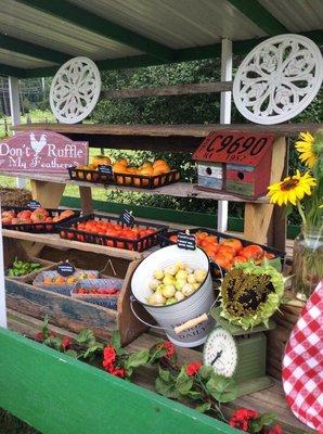 Farm Cart