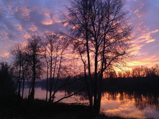 Willamette Landing