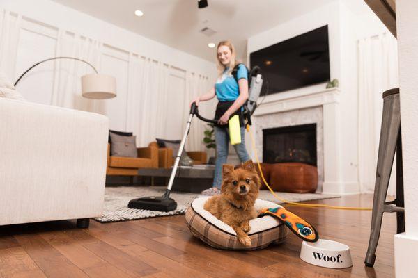 Family and Pet friendly home cleaning