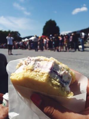 A lemon cookie, blue berry cheesecake ice cream cookie.