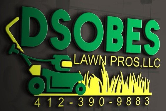 Dsobes Lawn Pros