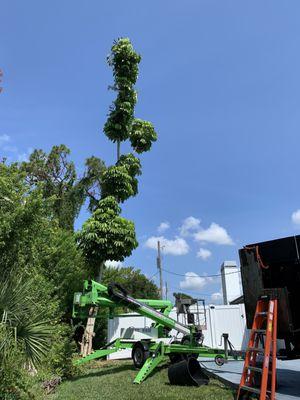 Using a lift for a removal in Venice