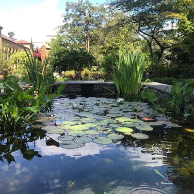 The Franciscan Monastery grounds are a lovely place for quiet reflection and meditation.